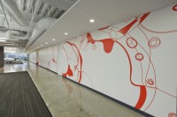 /album/fotograflar-fikir-galerisi/dreamhost-office-orange-white-wall-jpg/