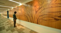 /album/fotograflar-fikir-galerisi/mercer-noida-960x530-6-jpg/